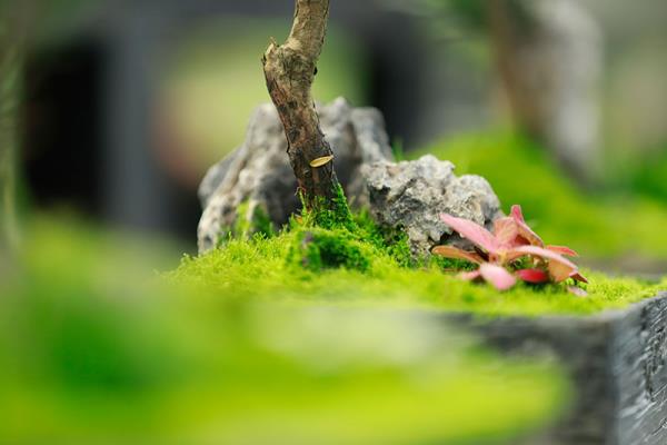 机构调研 | 分众传媒：39家机构调研收益率骤降超三成 三季度营收同比“缩水”