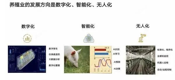 国家鼓励农业转基因生物研发创新；未来农业竞争一定是产业链竞争