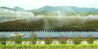 水肥一体化技术：打造高效节水型农业灌溉