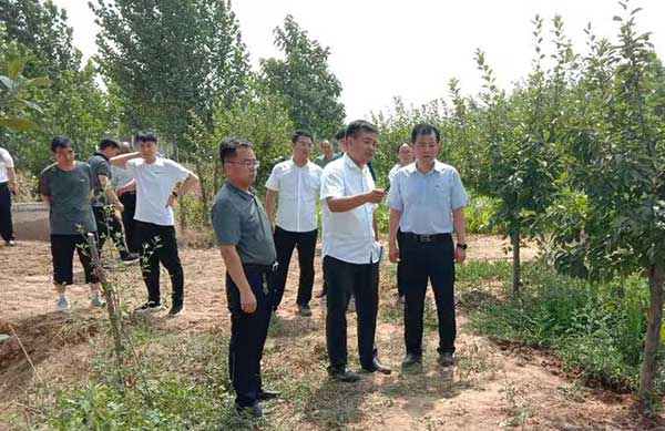 开封市：智慧农业助力粮食安全，环境整治创建美丽乡村