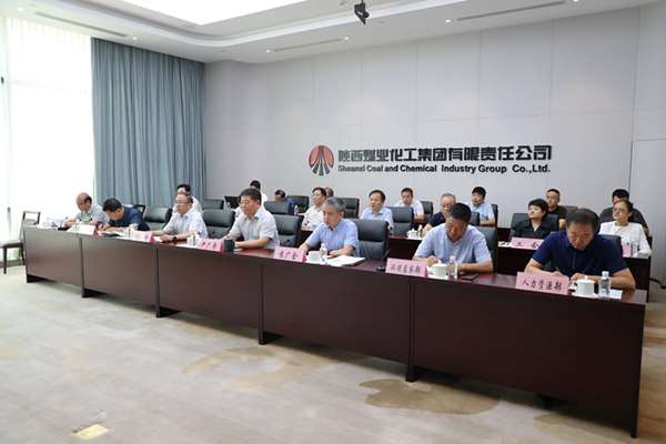 陕煤集团召开“迎全会、防风险、抓落实、保平安”专题视频会议